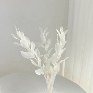 Plantas <span class=keywords><strong>de</strong></span> Ruscus Secas y Conservadas, Follaje Eterno, Hojas <span class=keywords><strong>de</strong></span> Citrus Reticulata Decorativas, Hojas <span class=keywords><strong>de</strong></span> Ruscus Secas al por Mayor, Hoja Naranja Seca - Product Image 3