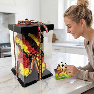 Oso de Peluche Premium con Rosas Artificiales de la Selección Nacional de Alemania para la Copa Mundial, con Cinta de Fútbol, Souvenir - Product Image 2