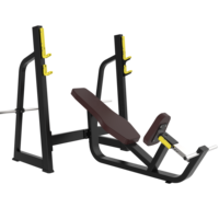 Banc de musculation multifonctionnel pour la maison, équipement d'exercice, banc pour haltères, rack de musculation, machine de fitness, banc réglable