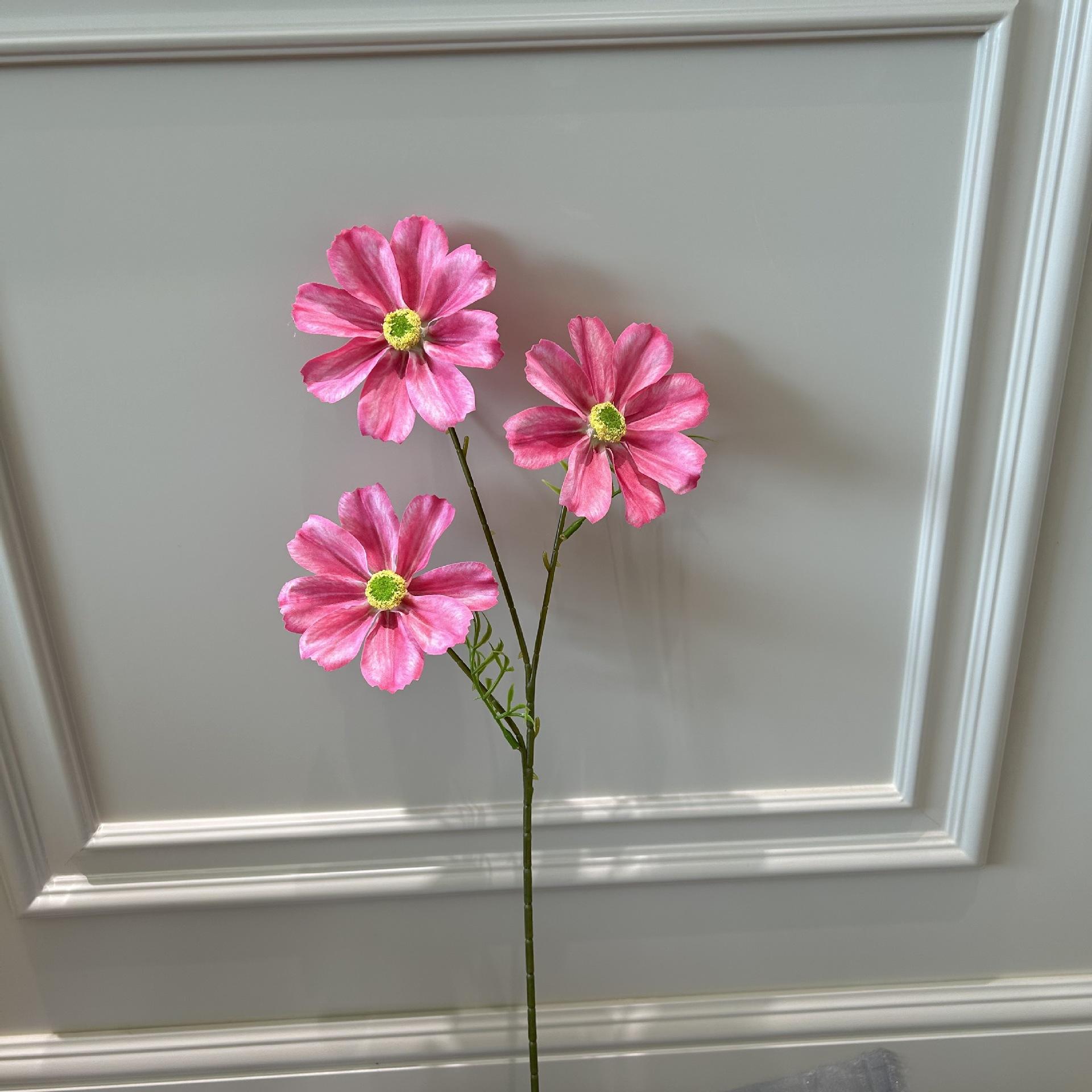 Xkl gesang deep pink