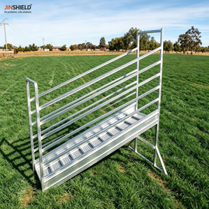 Rampe pour bétail réglable avec plusieurs positions de hauteur et broches de verrouillage - Product Image 4