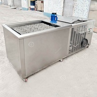 Pas cher Afrique du Sud Turc Commercial En Acier Inoxydable Saumure De Poisson Industrielle Faire Machine De Moule De Bloc De Glace à Vendre