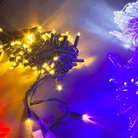 Guirlande lumineuse LED en PVC caoutchouc blanc chaud IP65, pour intérieur et extérieur, paysage, Noël, Pâques, Ramadan, lumière décorative à intensité variable