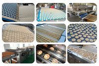 Machine de production automatique de biscuits durs, de craquelins et de biscuits moelleux aux pépites de chocolat avec four tunnel 2026