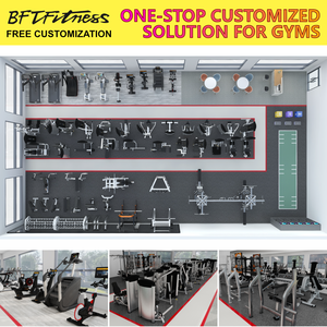 300 ㎡   Paquete Completo de Gimnasio Comercial BFT Fitness de Fábrica en Guangzhou, Servicio Integral, Equipamiento Completo para Gimnasio - Product Image 2