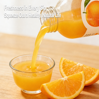Lotlong Factory Direct Zoete Lekkere Commerciële Fruitdrank Natuurlijk Sinaasappelsap voor Supermarkt Detailhandel