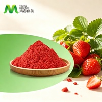 Poudre de fraises lyophilisées pour l'alimentation, 60 Mesh, poudre de fruits de fraises FD pour la crème glacée