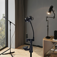 Microphone portable professionnel pour violon, alto, mandoline, épaisseur de 30 mm à 46 mm, connecteur XLR pour studio et usage domestique