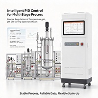 Système de Fermentation Multi-Étapes en Acier Inoxydable avec Agitation Mécanique et Contrôle PID, Capacité 5L-50000L, pour la Fermentation des Acides Aminés