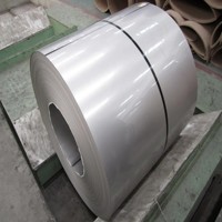 Bobine en acier inoxydable 316L laminée à chaud n°1, surface décapée, service de découpe, norme ASTM, certifiée RoHS pour usage industriel