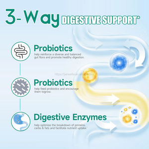 Probiotiques Halal à Marque Blanche Prébiotiques 100 Milliards UFC Poudre Peptides de Lactosérum Bacillus Subtilis Probiotique Adulte - Product Image 3
