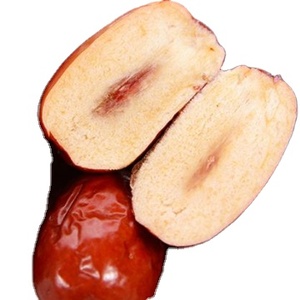 Cây Trồng Mới Và Ngày Tươi Từ Cây - Product Image 1