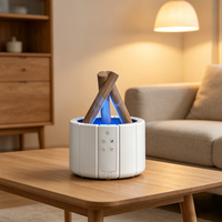 Mini humidificateur à ultrasons domestique facile Diffuseur d'arômes à atomisation de flamme d'huile essentielle Diffuseur de parfum USB télécommandé