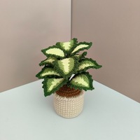 Plante au crochet 2026 : Décoration de feuilles faites main, mini plante en pot au crochet, Monstera, Caladium, Coleus, Arrowhead, pour décoration de bureau