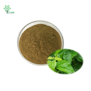 天然1% ~ 10% 白桑エキス1-DNJ粉末桑葉エキス - Product Image 3