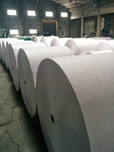 Papel de impresión y escritura biodegradable con material de recubrimiento de PE de un solo lado - Product Image 4