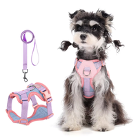 Harnais pour chien en polyester respirant et anti-étouffement avec doubles anneaux en D, patchwork contrasté, confortable et durable