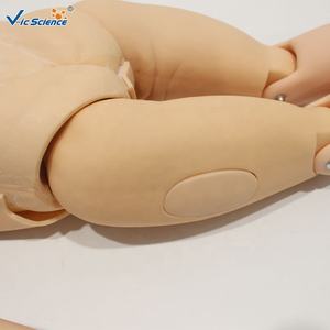 แบบจำลองการใส่สายสวนปัสสาวะเด็ก ทำจากพีวีซี ทนทาน ขนาดเท่าคนจริง สำหรับการศึกษาทางการแพทย์และการฝึกอบรมฉุกเฉิน - Product Image 4