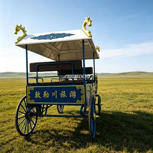 Charrette de chevaux électrique pour visites touristiques, charrette de chevaux de mariage à vendre - Product Image 5