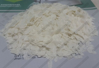 Machine d'extrusion de production de céréales, 2000g, blé, riz, maïs, flocons de maïs, petit déjeuner, équipement ligne de production