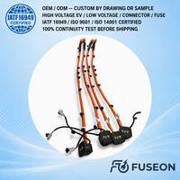 Kabel Harness Tegangan Tinggi Khusus untuk Konverter AC/DC 1000V XLPE Tembaga Berpelindung IP67 Produsen OEM