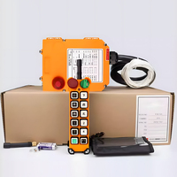Telecrane F24-8D 433mhz, Control Remoto Inalámbrico de 12 Botones para Grúa Industrial