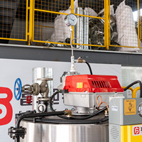 Autoclave industriel vertical à vapeur de 200 kg, à gaz, basse pression, à tubes de chaleur, avec sortie d'eau chaude automatique, chaudière FUTURE BOILER