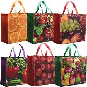 Heavy Duty Eco Friendly Large Capacity Eco Bags Multiple Uses Reusable Shopping Laminated Non -Woven Bag With Custom Logo