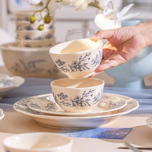 Ensemble de bols et assiettes en céramique Naihuhu de style moderne de grande valeur Ins Combinaison de plats de riz jetables à usage domestique de style français - Product Image 4