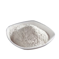 Poudre de gypse haute résistance en sacs de 50 kg et 40 kg - Prix