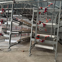 Nouvel équipement d'élevage de poulets de chair Cages en batterie automatiques pour poussins d'un jour Maisons pour poulets et cailles à vendre