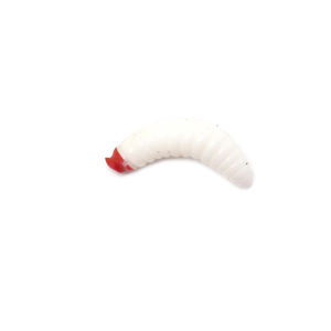 Customs queue courte souple asticot grub leurre ver silicone appâts de pêche leurre 100pcs <span class=keywords><strong>2</strong></span>.4cm 0.5g asticot Grub souple leurre appâts vers Glo - Product Image 3