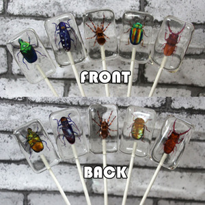 Nuevo Producto Creativo, Caramelo con Forma de Insecto Hecho a Mano, Piruleta de Insecto, Caramelo de Halloween al por Mayor, Caramelo Ámbar - Product Image 5