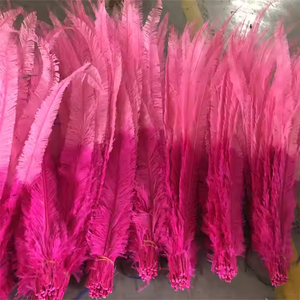 Plumas de Avestruz <span class=keywords><strong>Nandu</strong></span> Teñidas (25-60 cm) Lavadas y Esterilizadas para Decoración de Fiestas, Adornos para el Hogar/Bodas, Sombreros Florales y Accesorios de Sombrerería - Product Image 1