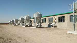 Nuevo Silo de Almacenamiento de Alimento para Pollos de Engorde y Gallinas Ponedoras, Capacidad de 1000 kg, 5 Años de Garantía - Product Image 2