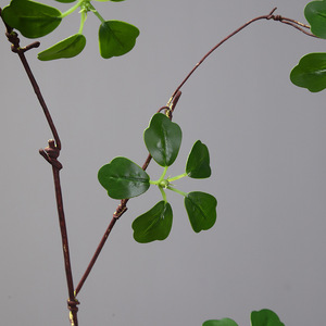 Branche artificielle de Pieris Japonica, fausse branche sèche pliable avec feuilles vertes <span class=keywords><strong>et</strong></span> rouges automnales pour vase au sol Wabi Sabi, décoration intérieure - Product Image 6