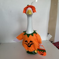 Costume de canard d'Halloween pour porche - Ensemble sorcière citrouille et fantôme en polyester, 23 pouces