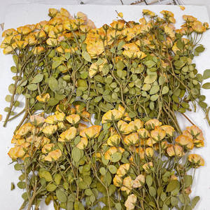 Rosa prensada de resina Real para artesanía, artesanía creativa de resina artesanal - Product Image 4