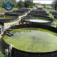 Feuilles ASTM géomembranas conception populaire aquarium de ferme à poissons bâche en PVC pliable et économique étang d'élevage de poissons en colombie