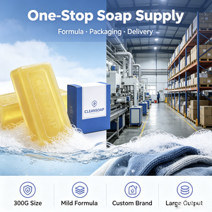 Savon de <span class=keywords><strong>lessive</strong></span> transparent doux 300G, faible MOQ, personnalisation OEM, fournisseurs de savon de lavage, grande production - Product Image 1
