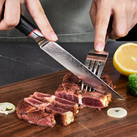 Nouvelle arrivée 4 pièces 5 pouces 67 couches VG-10 couteau à steak damas ensemble de couteaux à steak ultra pointus avec poignée G10