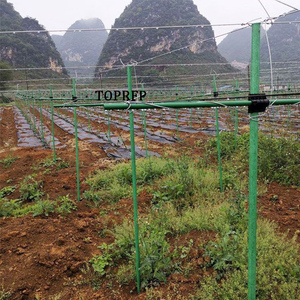 เสาค้ำไฟเบอร์กลาสและเสารองรับไฟเบอร์กลาสที่ใช้ในเรือนเพาะชำ - Product Image 4