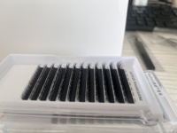 Nouvelles extensions de cils populaires LJ LB LC LD M L Curl Easy Fan 0.07mm Camellia Lashes, longueurs mixtes 8-15mm, effet sauvage et volumineux