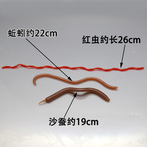 Señuelos blandos de silicona de 40g para pesca en agua dulce, con aroma a pescado, tipo lombriz, gusano de arena, gusano de tierra, gusano de harina, Weihai Shandong - Product Image 2