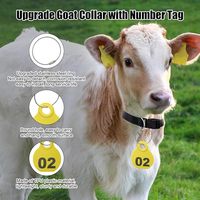 Ensemble de colliers réglables en nylon pour chèvres et moutons avec étiquettes d'identification en plastique Équipement d'élevage d'animaux de compagnie