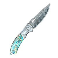 Couteau de poche EDC à double lame en acier inoxydable 3Cr13 avec manche en résine, idéal pour l'extérieur – Vente chaude