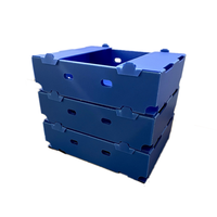 Boîte de retournement en plastique ondulé personnalisée avec des matériaux recyclés pour l'emballage industriel de produits chimiques en chaîne du froid