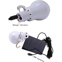 Usine OEM hangar solaire pêche Camping tente panneaux d'intérieur ampoule solaire ampoules solaire Led lumière extérieure ampoule rechargeable