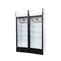 Réfrigérateur à porte vitrée simple de 300 L, refroidisseur de boissons Coca, présentoir de boissons Cola, réfrigérateur vertical