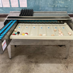 Máquina Automática para Clasificar Huevos, 4500 Huevos por Hora, Construcción de Acero Inoxidable con Carro, Equipo de Procesamiento de Huevos - Product Image 5